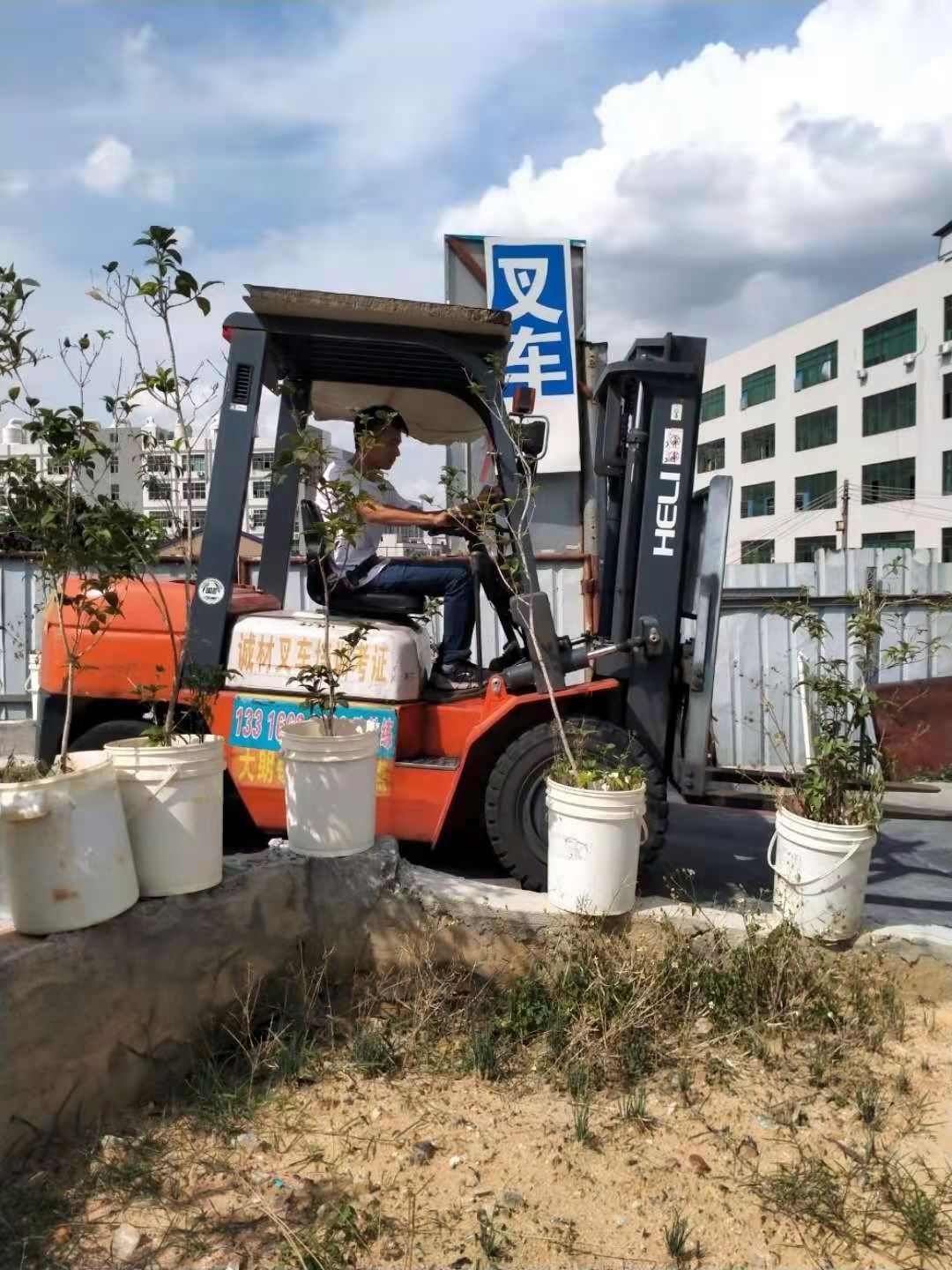 东莞东坑叉车培训在哪里报名？东坑叉车司机考证价钱合理